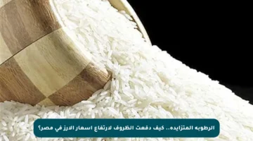 الرطوبة المتزايدة.. كيف دفعت الظروف لارتفاع أسعار الأرز في مصر؟